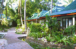 samuiyach_04.jpg