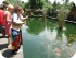 Рыбы в водоеме на Бали