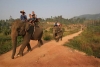 “Азиатское Сафари и Деревня Слонов” в Таиланде 