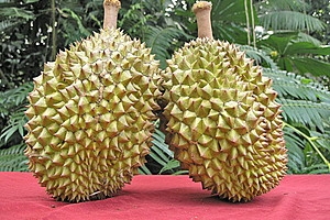 Дуриан - король тайских фруктов 